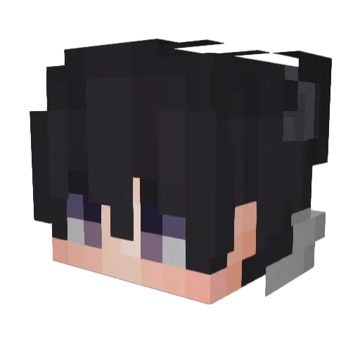 Jay1117 Minecraft avatar head, 3D render