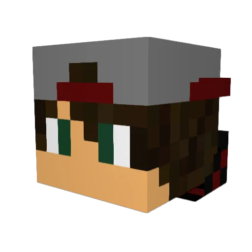 Jay14573 Minecraft avatar head, 3D render