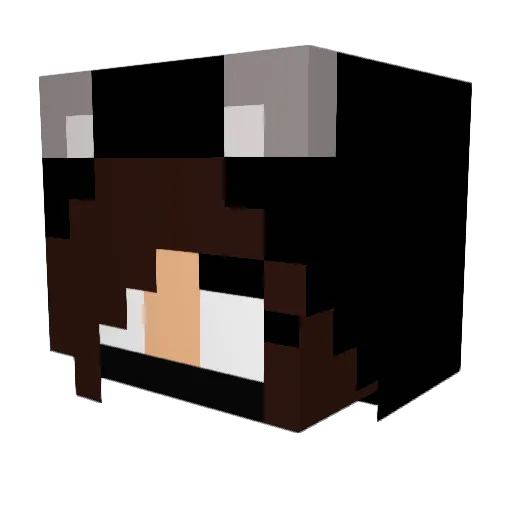 Jay1850 Minecraft avatar head, 3D render