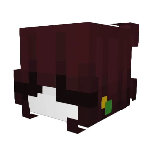 Jay2907 Minecraft avatar head, 3D render