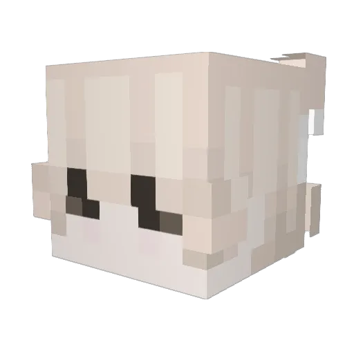 Jay3703 Minecraft avatar head, 3D render