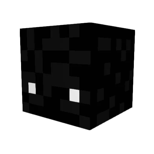 Jay7212 Minecraft avatar head, 3D render