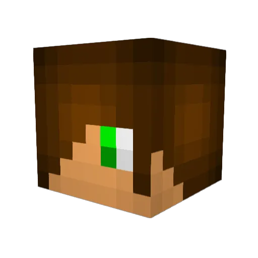 Jay841 Minecraft avatar head, 3D render
