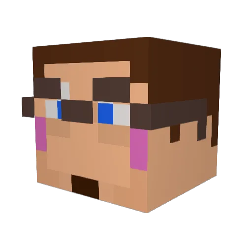 Jay848 Minecraft avatar head, 3D render
