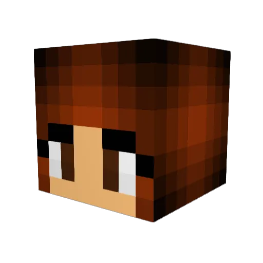 Jay922845 Minecraft avatar head, 3D render