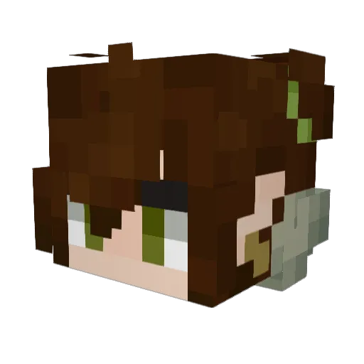 JayB_ Minecraft avatar head, 3D render