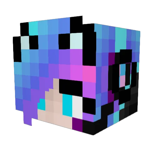 JayBorn310 Minecraft avatar head, 3D render
