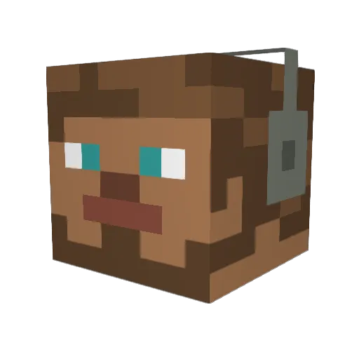 JayBro98 Minecraft avatar head, 3D render