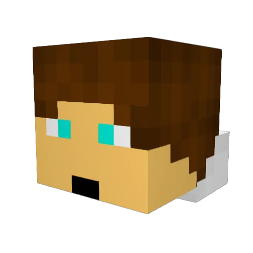 JayDesk_ Minecraft avatar head, 3D render