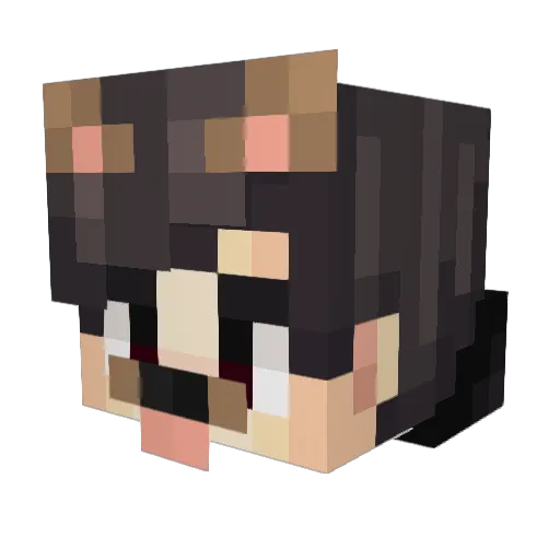 JayFr010 Minecraft avatar head, 3D render