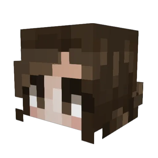 JayGOD_ Minecraft avatar head, 3D render