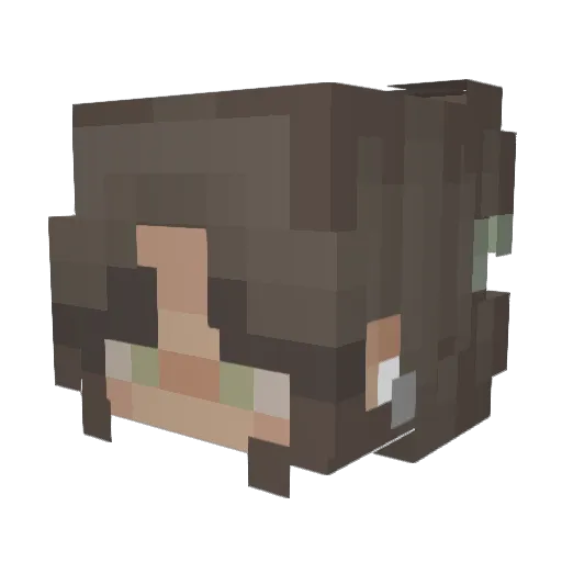 JayJay653 Minecraft avatar head, 3D render