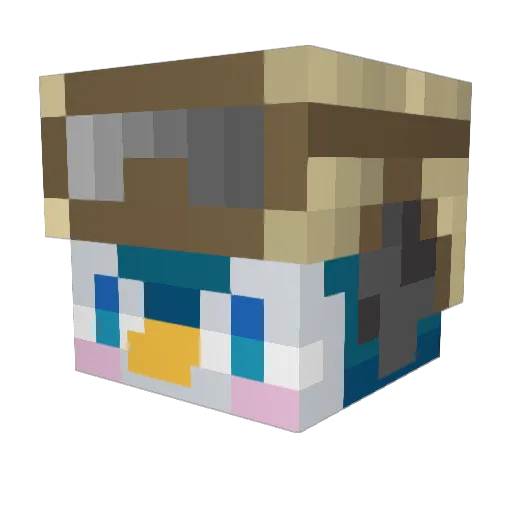 JayJayH10 Minecraft avatar head, 3D render