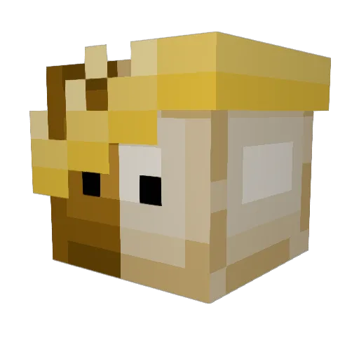 JayJayoclock Minecraft avatar head, 3D render