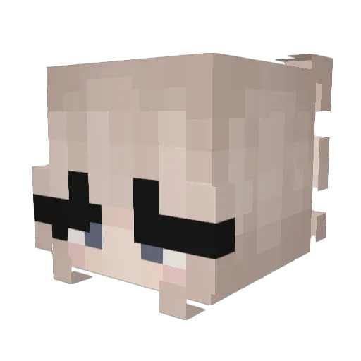 JayKay00 Minecraft avatar head, 3D render