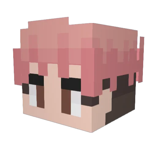 JayOP2 Minecraft avatar head, 3D render