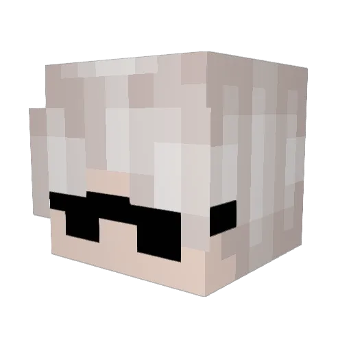 JayPX2 Minecraft avatar head, 3D render
