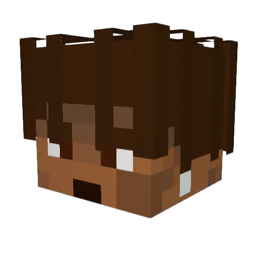 JayQuarrior Minecraft avatar head, 3D render