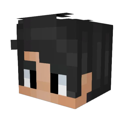 JayRice101 Minecraft avatar head, 3D render