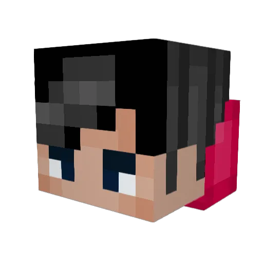 JaySogga7431 Minecraft avatar head, 3D render