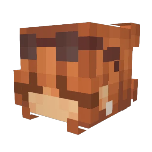 JaySon19 Minecraft avatar head, 3D render