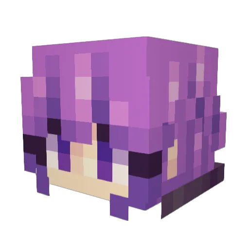 JayStationIsMid Minecraft avatar head, 3D render
