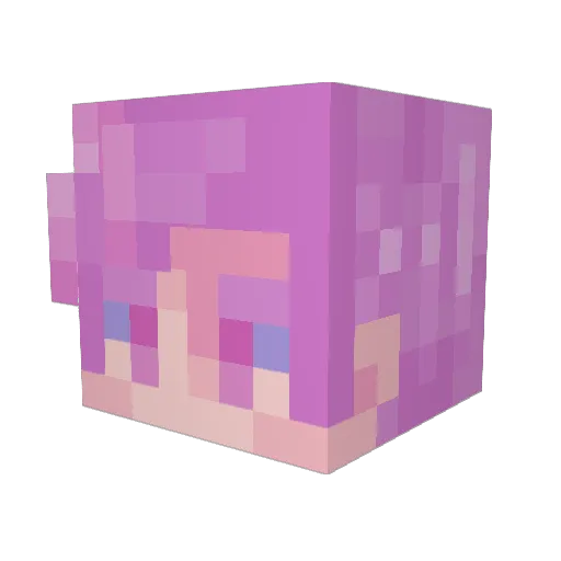 JayTeeGrows Minecraft avatar head, 3D render