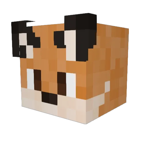 JayTheFox03 Minecraft avatar head, 3D render