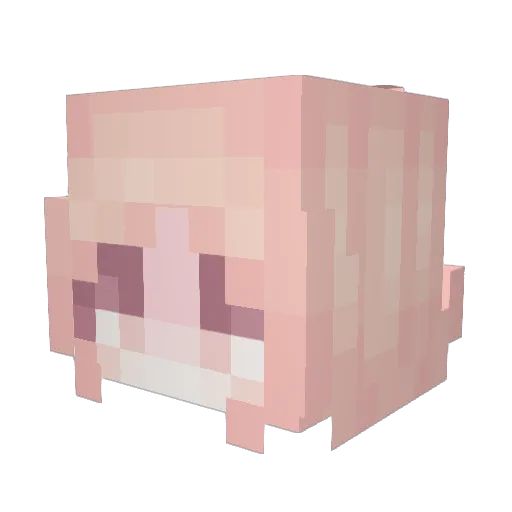 JayVolt Minecraft avatar head, 3D render