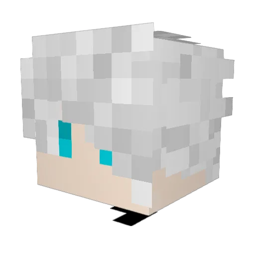 JayVounter Minecraft avatar head, 3D render
