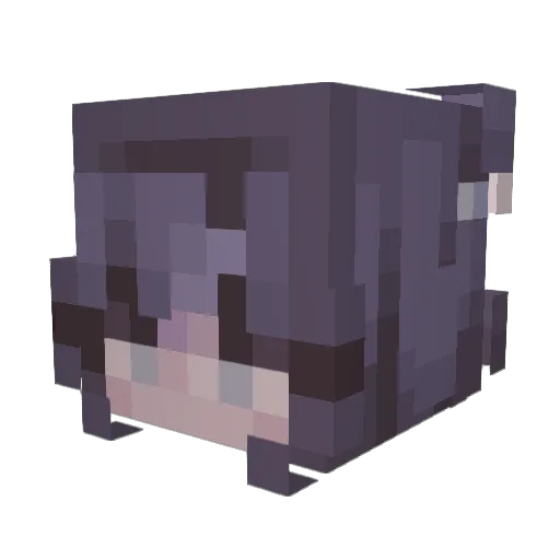 JayX91 Minecraft avatar head, 3D render
