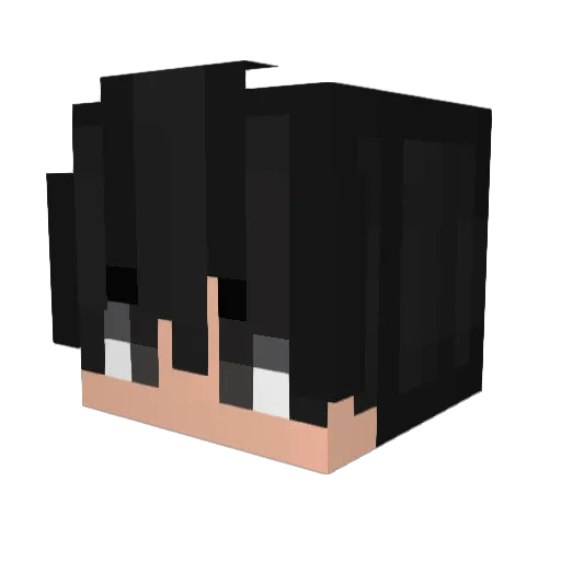 JayXenox_YT Minecraft avatar head, 3D render