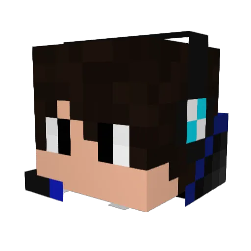 Jay_001 Minecraft avatar head, 3D render