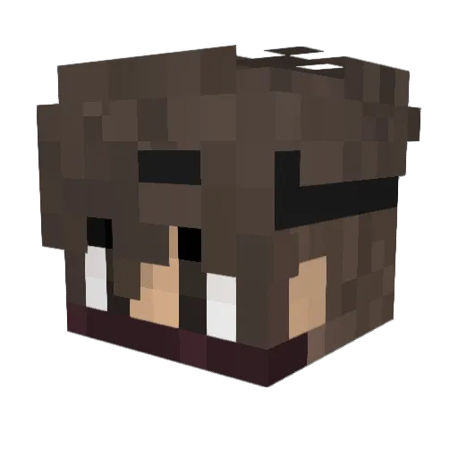 Jay_29179 Minecraft avatar head, 3D render