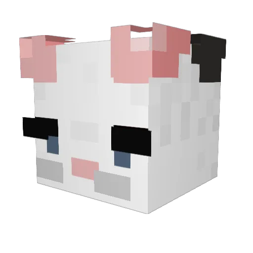 Jay_Bird246 Minecraft avatar head, 3D render