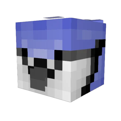 Jay_Birds Minecraft avatar head, 3D render