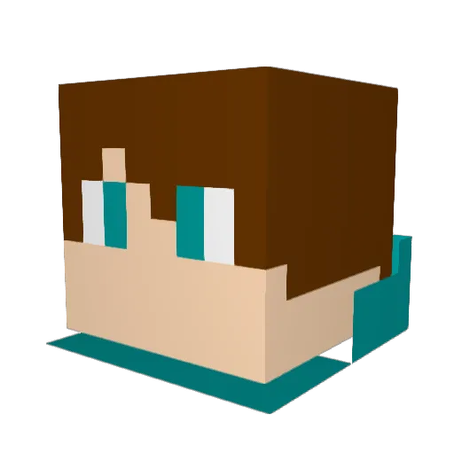 Jay_Rider Minecraft avatar head, 3D render