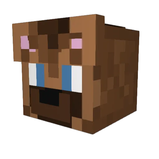 Jay_UwU Minecraft avatar head, 3D render