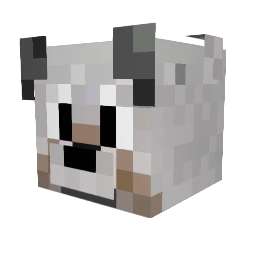 Jay_Walker554 Minecraft avatar head, 3D render