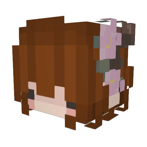 Jay__Hawk Minecraft avatar head, 3D render
