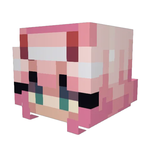 Jay_gamer01 Minecraft avatar head, 3D render