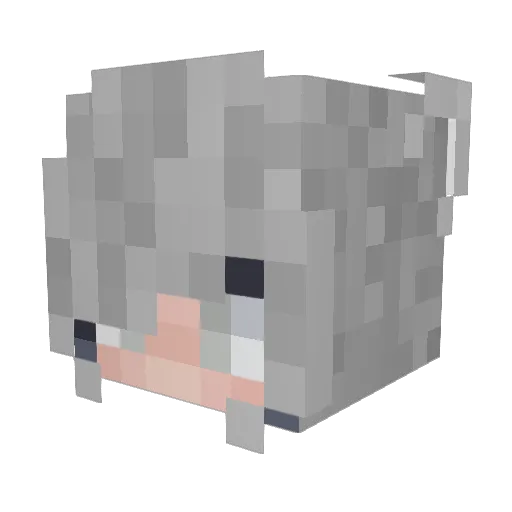 Jay_mor Minecraft avatar head, 3D render