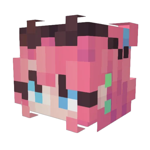 Jaybidou Minecraft avatar head, 3D render