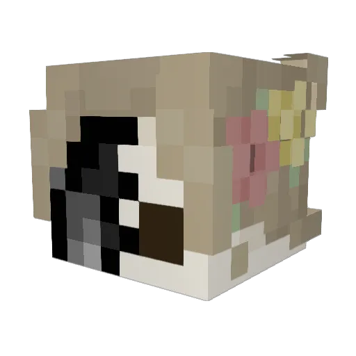 Jaybiee Minecraft avatar head, 3D render