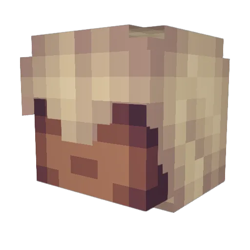 Jayblaze97 Minecraft avatar head, 3D render