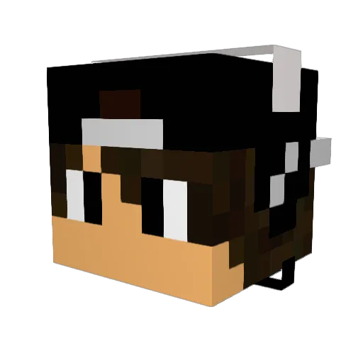 Jaybudy70 Minecraft avatar head, 3D render