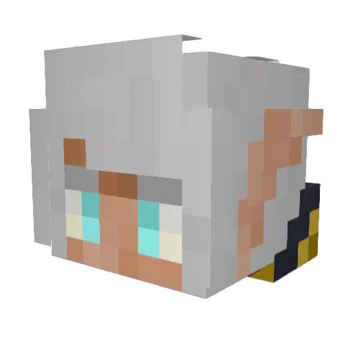 JayceTheJacket Minecraft avatar head, 3D render