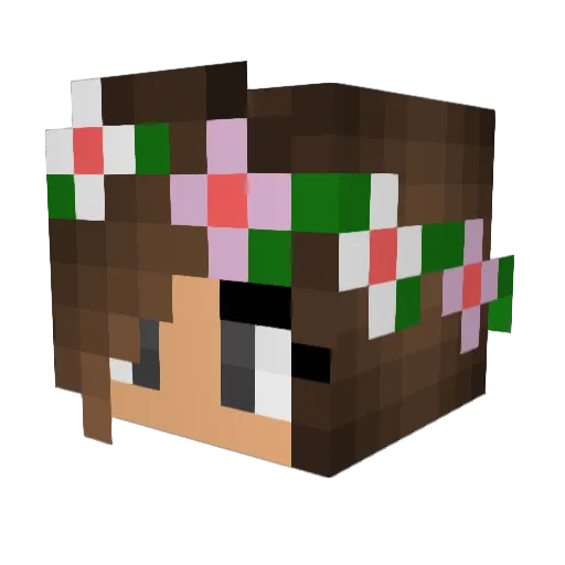 Jaycee_18 Minecraft avatar head, 3D render