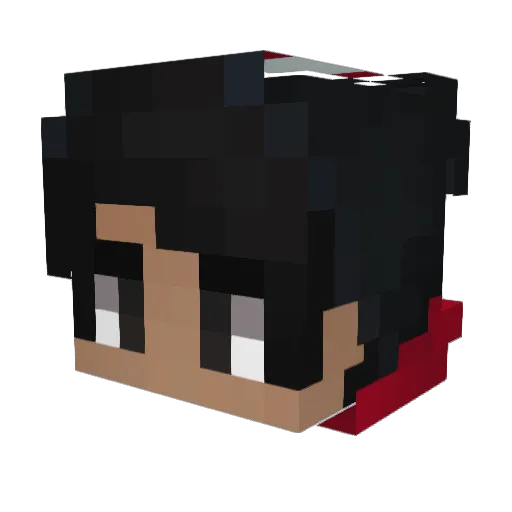 Jaycitop Minecraft avatar head, 3D render