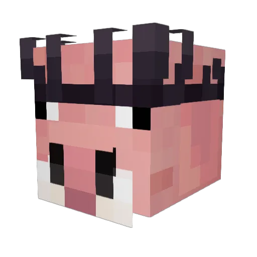 Jaycolbert Minecraft avatar head, 3D render
